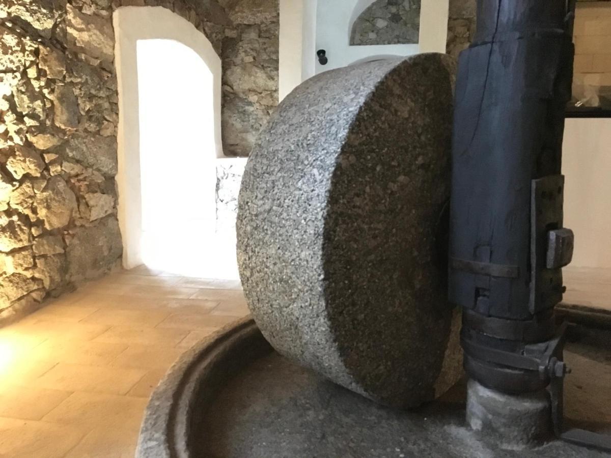 Chambres D'Hotes - Mulino Nannare Ville-di-Paraso Exteriör bild
