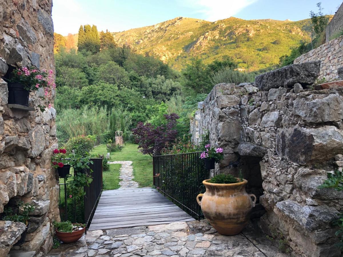 Chambres D'Hotes - Mulino Nannare Ville-di-Paraso Exteriör bild
