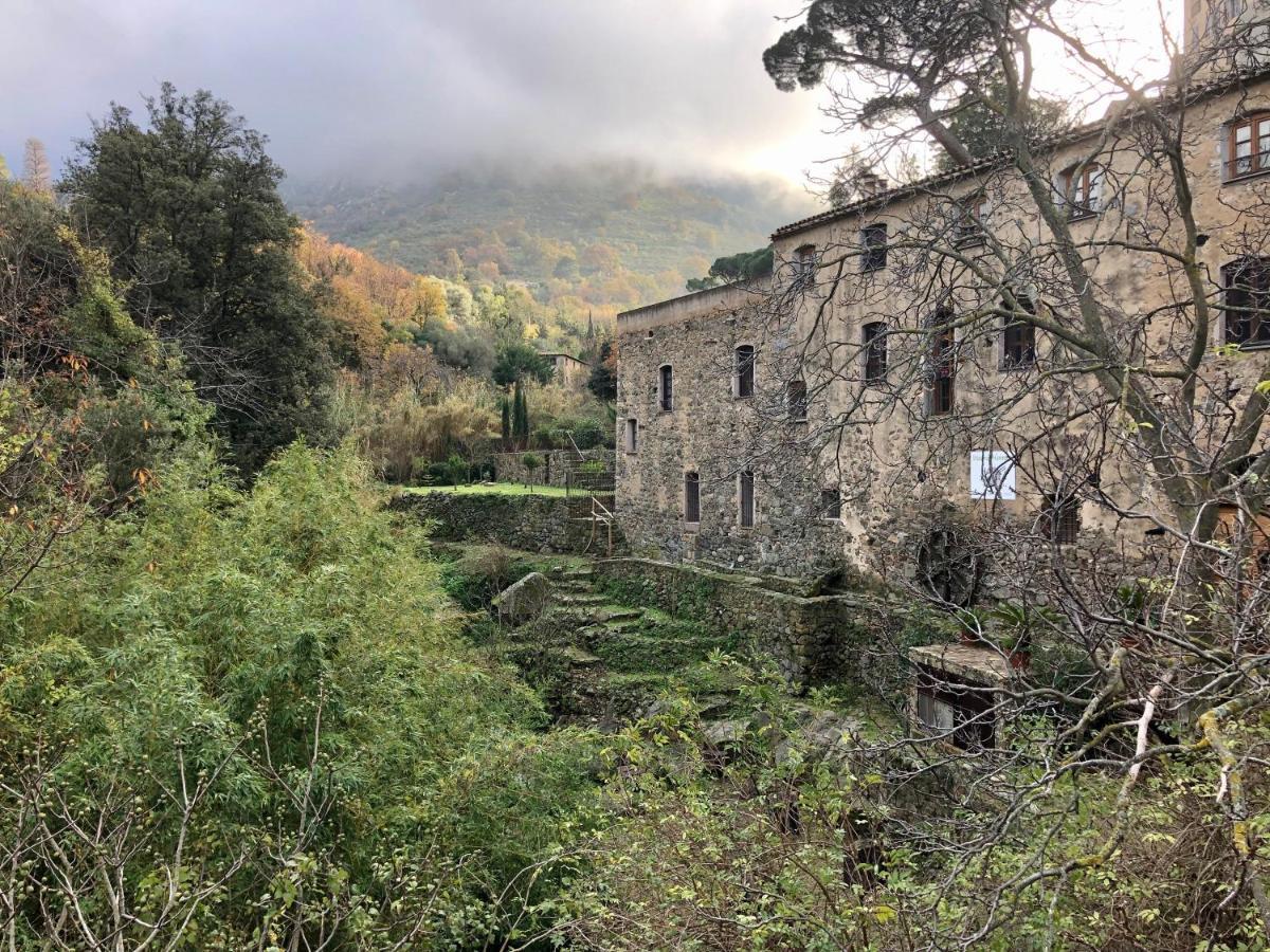 Chambres D'Hotes - Mulino Nannare Ville-di-Paraso Exteriör bild