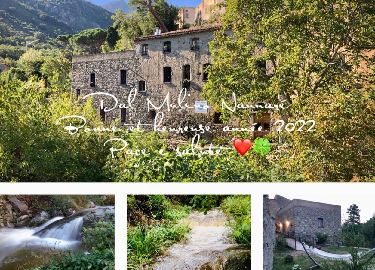 Chambres D'Hotes - Mulino Nannare Ville-di-Paraso Exteriör bild